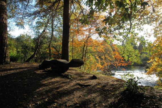 Autumnal view of the River Ness taken from the very pretty Ness-Side Walk.